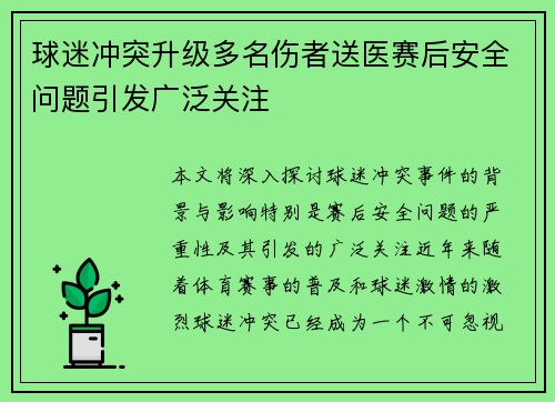 球迷冲突升级多名伤者送医赛后安全问题引发广泛关注