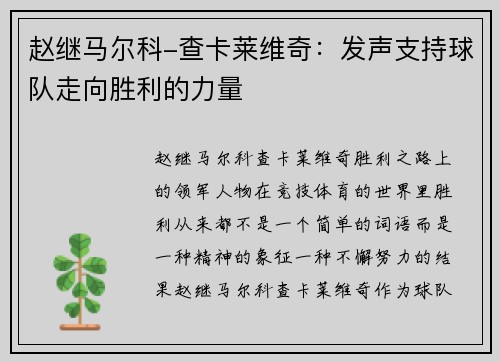 赵继马尔科-查卡莱维奇：发声支持球队走向胜利的力量