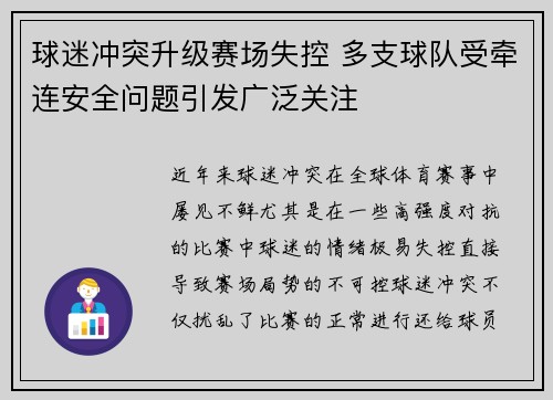 球迷冲突升级赛场失控 多支球队受牵连安全问题引发广泛关注